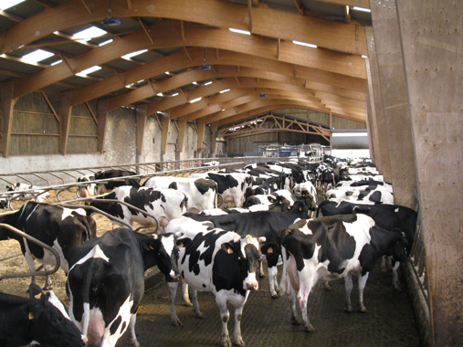 ferme