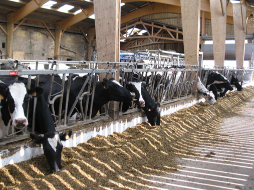 ferme