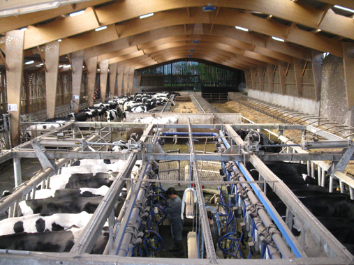 ferme